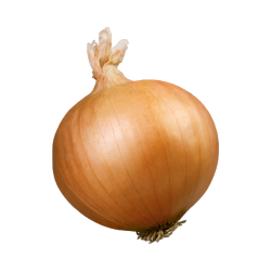 cebolla