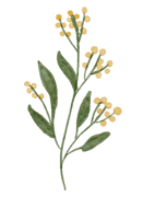 PROGRAMA GRUPAL: HABITÁNDOME