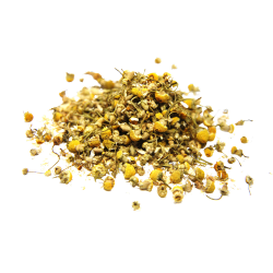 manzanilla