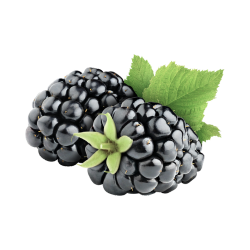 moras