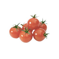 tomates cherry