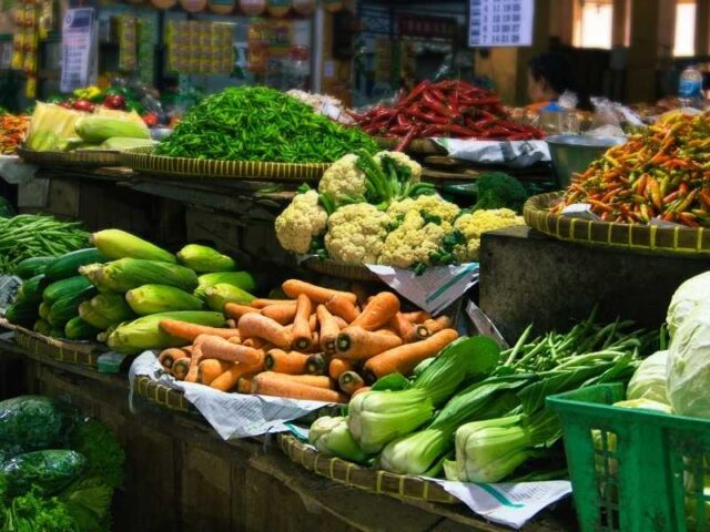 alimentación por temporada