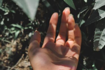 La Importancia del Descanso en la Salud y Cómo Mejorar tu Sueño