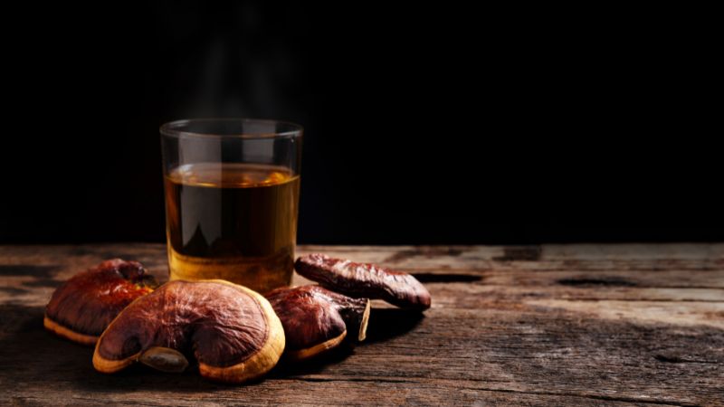 reishi-beneficios-salud reishi prevención cancer