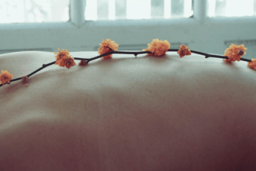 Cómo Adaptar tu Alimentación Según el Clima y tu Entorno