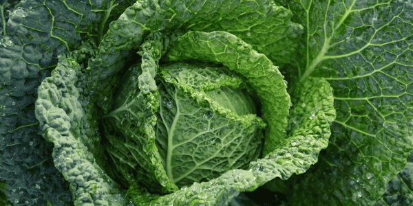 glutation-beneficios