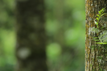 Volver al cuerpo: cómo la desconexión fisiológica afecta tu energía, tus hormonas y tu bienestar